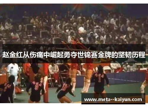 赵金红从伤痛中崛起勇夺世锦赛金牌的坚韧历程